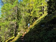 18  Sul bel sent. 202 panoramico per il Passo di Dordona